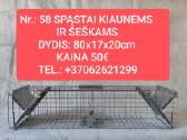 Gyvagaudžiai spąstai Turime Vietoje - nuotraukos Nr. 5