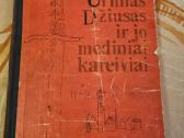 Urfinas Džiusas ir jo mediniai kareiviai