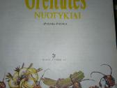 Skruzdelytes Greitutės nuotykiai - nuotraukos Nr. 2