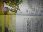 Skruzdelytes Greitutės nuotykiai - nuotraukos Nr. 4