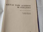Keltai tarp Alezijos ir Pergamo - nuotraukos Nr. 2