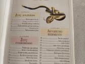 Akvariumų žuvys - nuotraukos Nr. 3