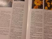 Sodo gėlės. Puikus žinynas - nuotraukos Nr. 5