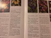 Sodo gėlės. Puikus žinynas - nuotraukos Nr. 6