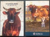 Malta 2025 rinkinys, 2€ monetos - nuotraukos Nr. 4