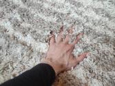 Kilimas Domoletti Lila Shag 725 - E, 280 cm x 190 - nuotraukos Nr. 4