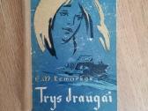 Daug įvairių geru knygu - nuotraukos Nr. 33