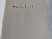 Punios šilas - nuotraukos Nr. 2