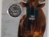 2 euro moneta Malta 2025 Jautis Il Gendus Malti Bu - nuotraukos Nr. 6