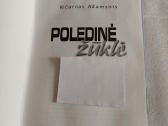 Poledinė žūklė - nuotraukos Nr. 2