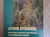 Lietuvos spygliuočiai: morfologinės struktūros