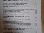 Lietuvos spygliuočiai: morfologinės struktūros - nuotraukos Nr. 4