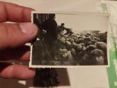 Senos fotografijos - nuotraukos Nr. 4