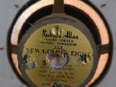 Placiajuosciai Richard Allan New Golden 8t Alnico - nuotraukos Nr. 5