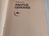 Anapus gerovės - nuotraukos Nr. 2