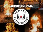Ugnies aukuras - aukuro nuoma su gintaro dulkėmis