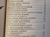 Kaip rasti , išlaikyti ar mesti vyrą - nuotraukos Nr. 3