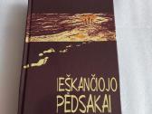 Ieškančiojo pėdsakai