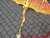 Aitvaras