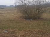 Parduodama sodyba Lazdijų rajone - nuotraukos Nr. 3