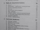 Prekių ženklų nesėkmės - nuotraukos Nr. 3