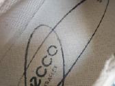 Ecco - nuotraukos Nr. 7
