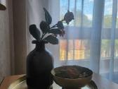Apartamentų nuoma Druskininkuose - nuotraukos Nr. 3