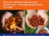 Superkame Grybus -Varėna
