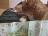 Peru banknotas - nuotraukos Nr. 3