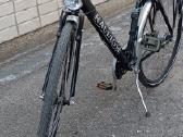 Raleigh