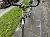 Pegasus Milano Gt