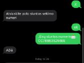 Ausinės Pro 3, Pro 2 2026 1:1 Atsiliepimai, Akcija - nuotraukos Nr. 16