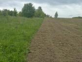 Vejos įrengimas / Apleistų sklypų frezavimas - nuotraukos Nr. 6