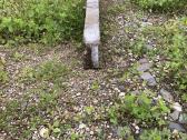 Parduodu metalines sijas U ir H formis - nuotraukos Nr. 5