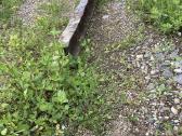 Parduodu metalines sijas U ir H formis - nuotraukos Nr. 8