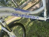 Moteriskas dviratis silverback - nuotraukos Nr. 2
