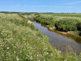 2,25 ha žemės sklypas netoli Šventosios - nuotraukos Nr. 2