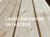 Termo medienoos dailylentės 13 - nuotraukos Nr. 22