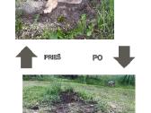 Kelmų frezavimas, šakų smulkintuvo nuoma - nuotraukos Nr. 2