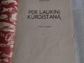 Per laukinį Kurdistaną - nuotraukos Nr. 2