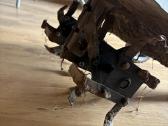 Elektrinis kultivatorius 1,2 kw Ikra Mogatec Iem 1 - nuotraukos Nr. 2