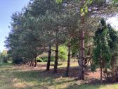 18a sklypas Salantuose