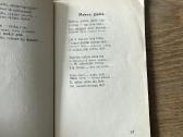 Gimtuoju vieškeliu 1927 - nuotraukos Nr. 4