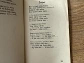 Gimtuoju vieškeliu 1927 - nuotraukos Nr. 5