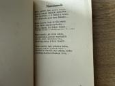 Gimtuoju vieškeliu 1927 - nuotraukos Nr. 6