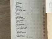 Gimtuoju vieškeliu 1927 - nuotraukos Nr. 7