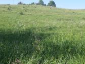 Parduodu apleistą sodybą su žeme 3,5ha. ir 2,58ha - nuotraukos Nr. 4