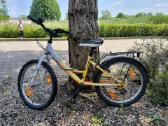 Dviratis Leader Fox Bear Boy 20"