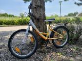 Dviratis Leader Fox Bear Boy 20" - nuotraukos Nr. 4
