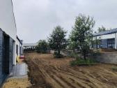 Didelės pušys - nuotraukos Nr. 9